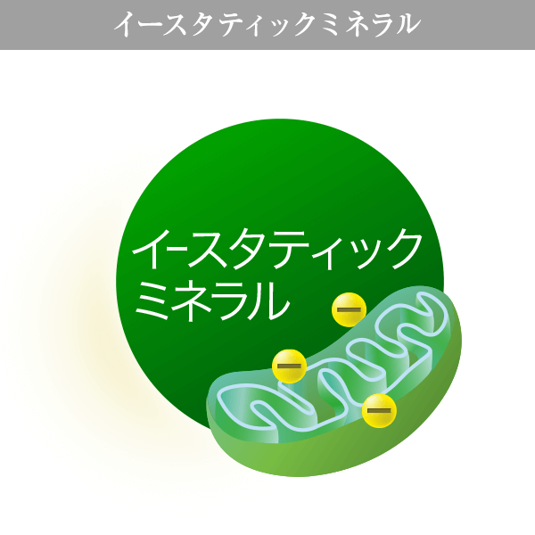 ▲イースタティックミネラル