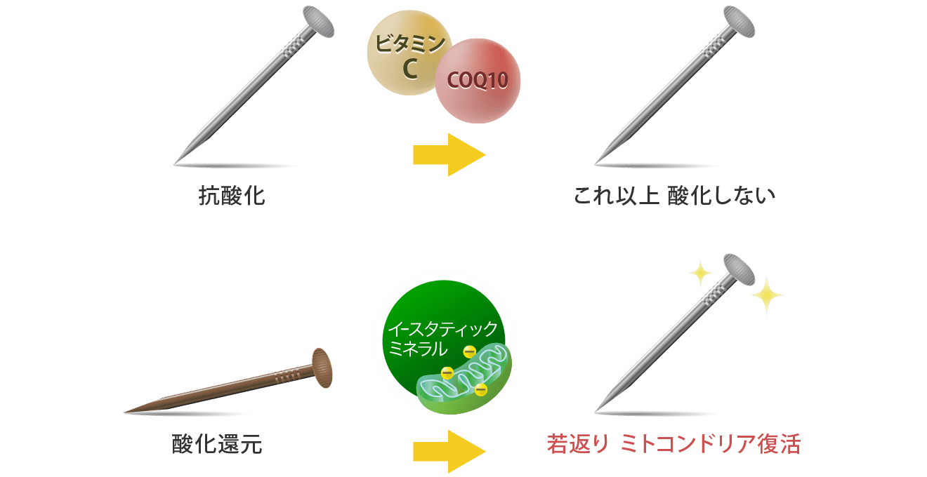 抗酸化